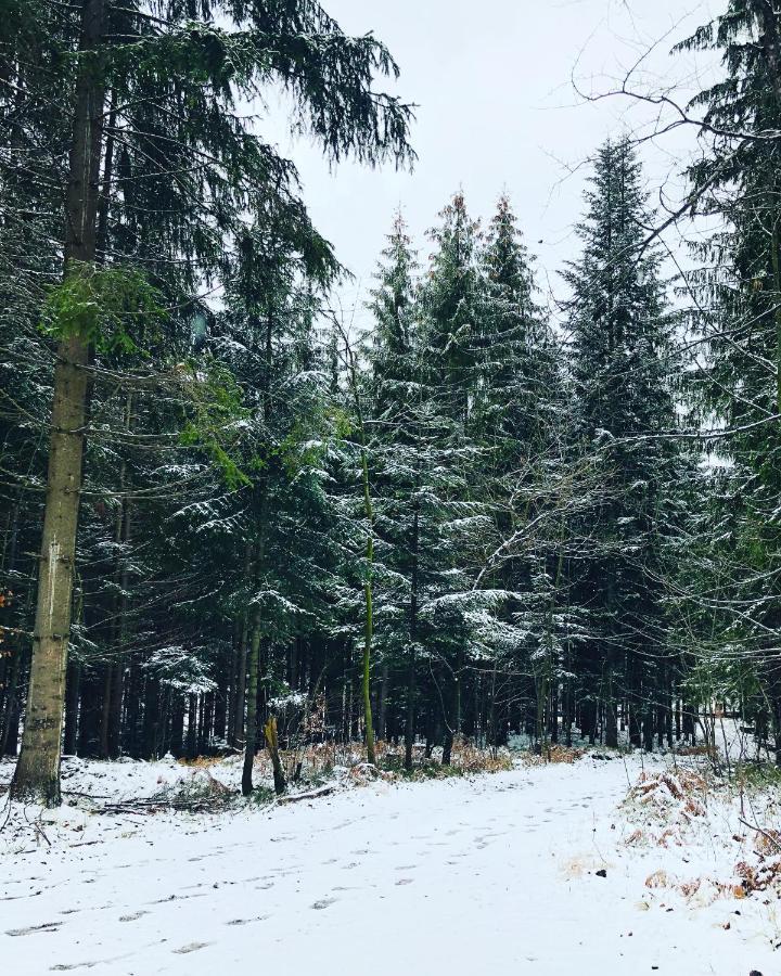 Beskid Wood Houses Jasnowice Extérieur photo